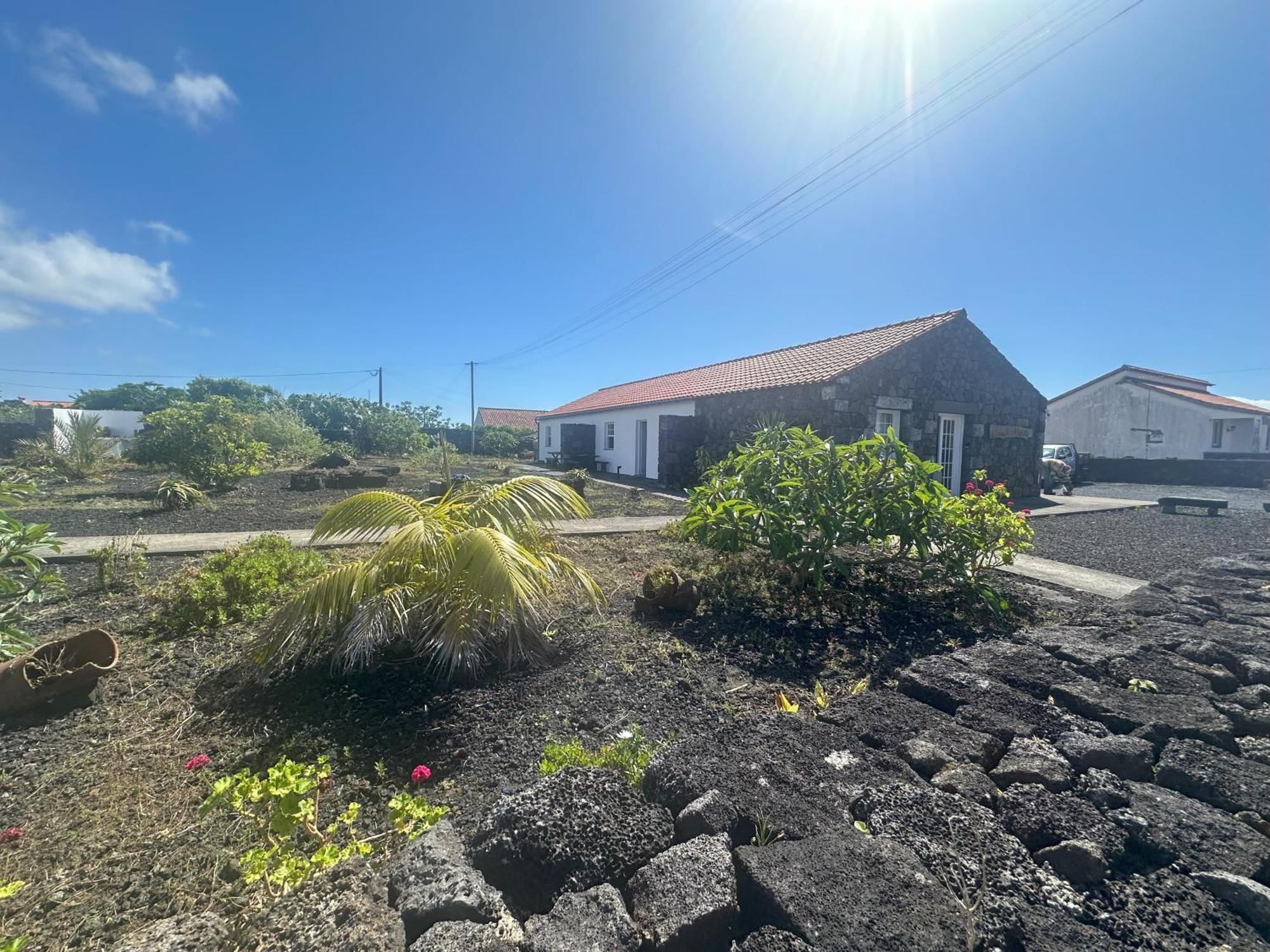 Casas Do Verdelho Madalena  Εξωτερικό φωτογραφία