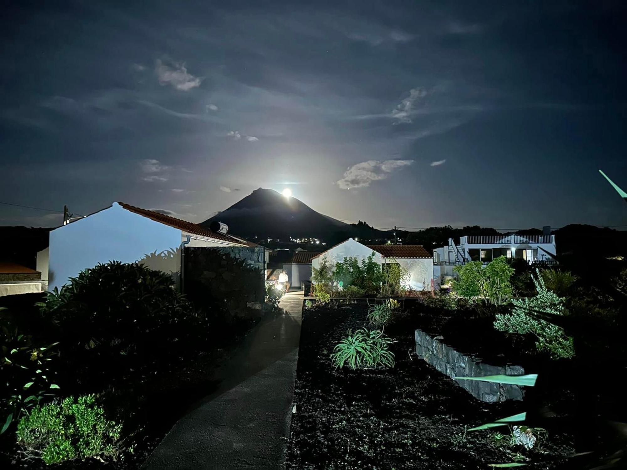 Casas Do Verdelho Madalena  Εξωτερικό φωτογραφία
