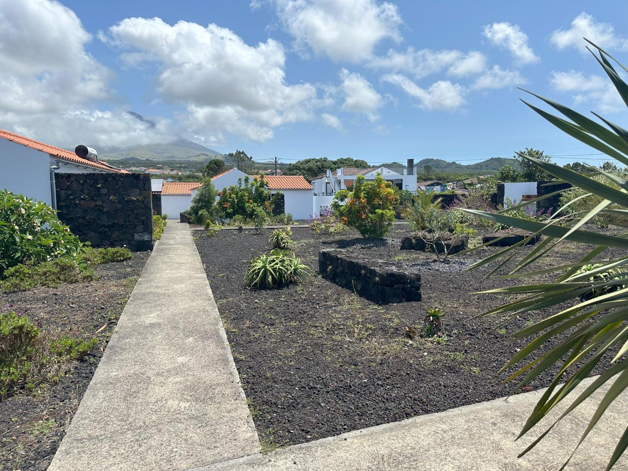 Casas Do Verdelho Madalena  Εξωτερικό φωτογραφία