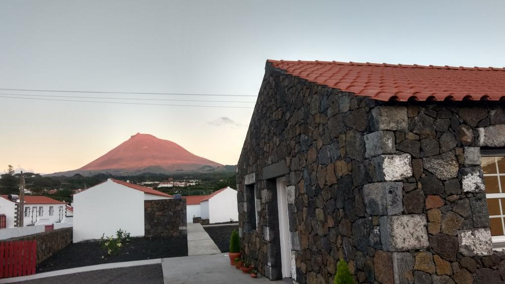 Casas Do Verdelho Madalena  Εξωτερικό φωτογραφία