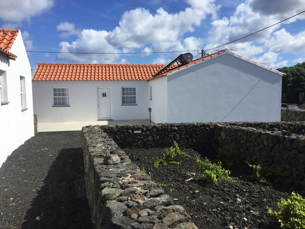 Casas Do Verdelho Madalena  Εξωτερικό φωτογραφία