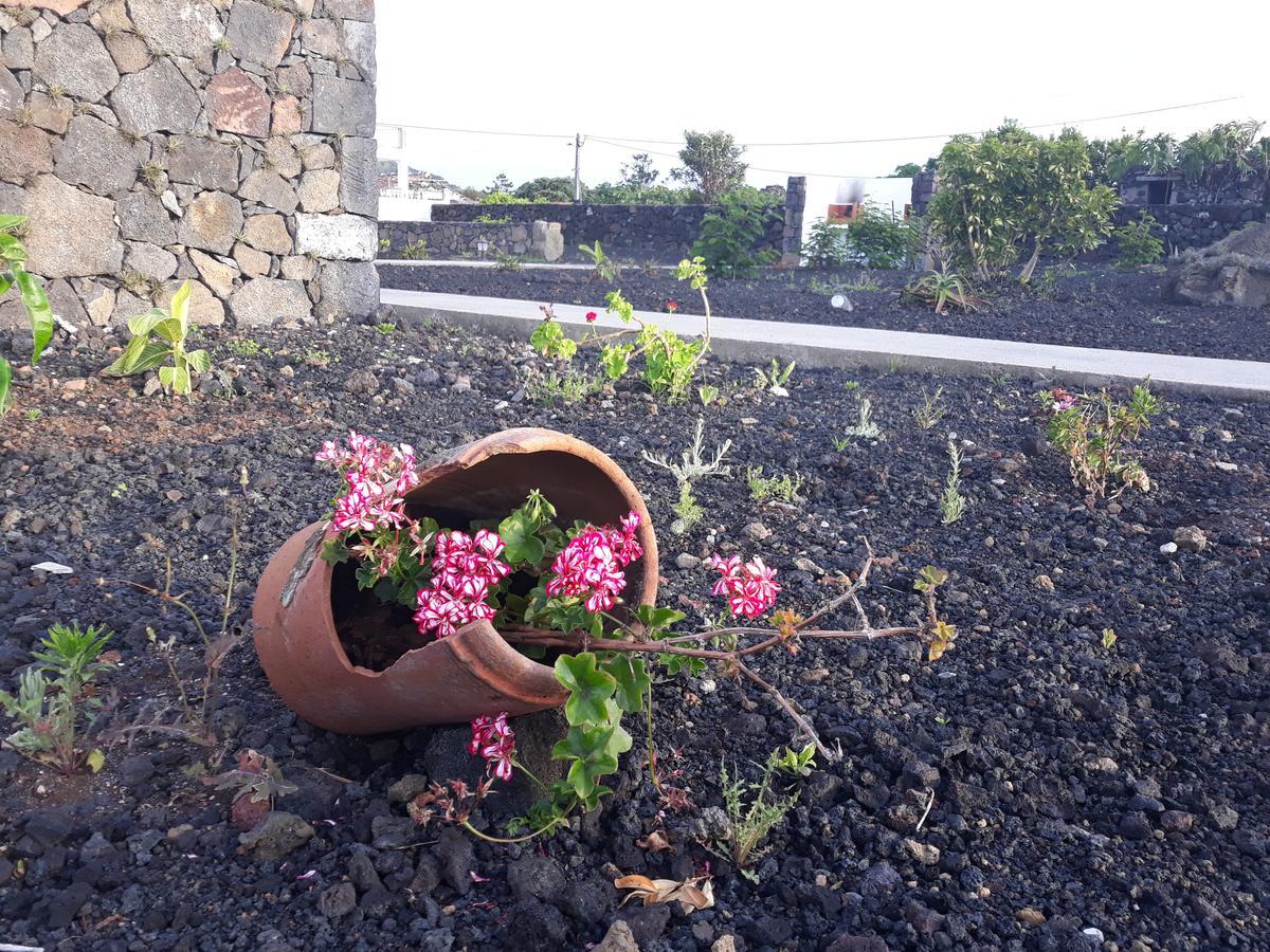 Casas Do Verdelho Madalena  Εξωτερικό φωτογραφία