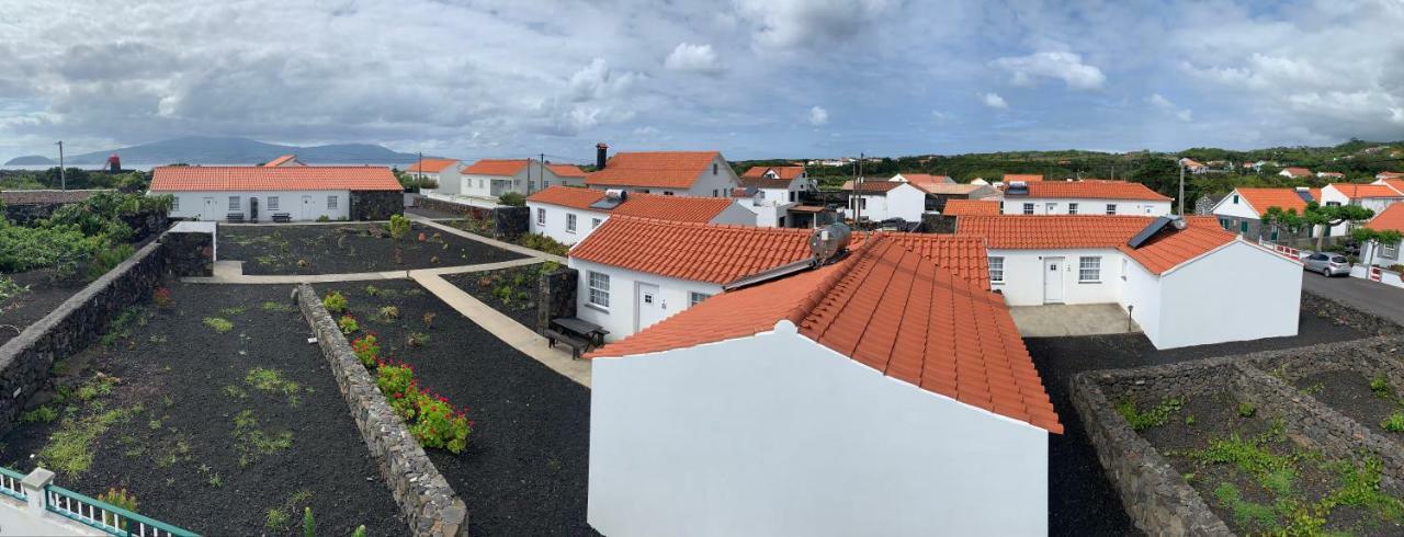 Casas Do Verdelho Madalena  Εξωτερικό φωτογραφία